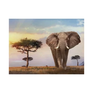 Flash Sale 35096 Puzzle 500 Hqc African Sunset 49 X 36 Cm Puzzle 500 Pezzi