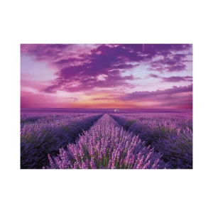 Clearance 39606 Puzzle 1000 Hqc Lavender Field 70 X 50 Cm Puzzle 1000 Pezzi