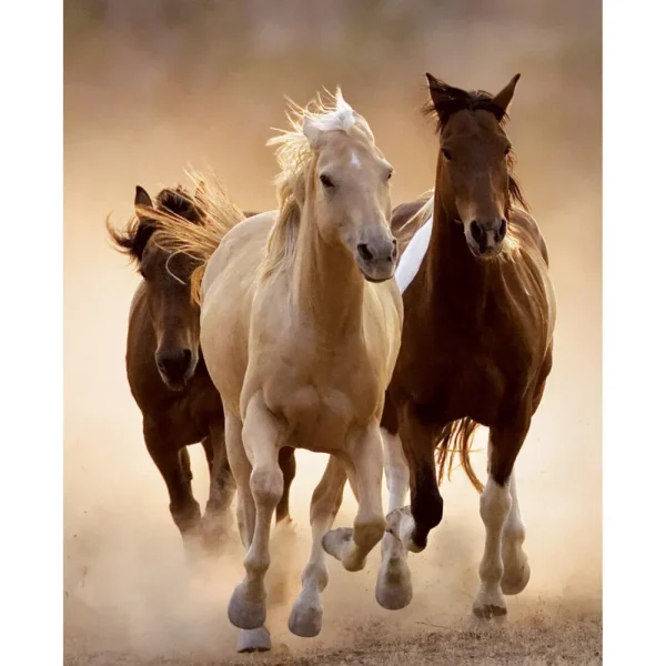 Sale 39168 Puzzle 1000 Hqc Running Horses 70 X 50 Cm Puzzle 1000 Pezzi