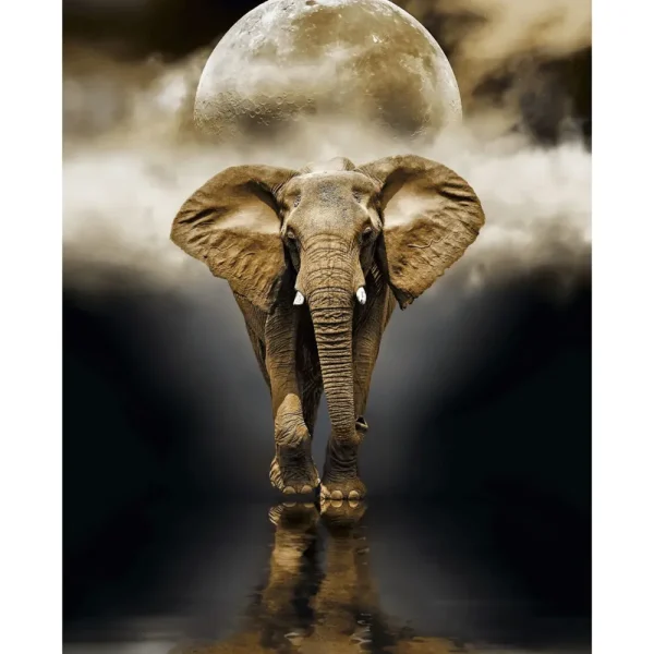 Hot 39416 Puzzle 1000 Hqc The Elephant 70 X 50 Cm Puzzle 1000 Pezzi