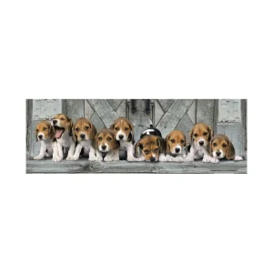 Best 39435 Puzzle 1000 Pan Beagles 98 X 33 Cm Puzzle 1000 Pezzi