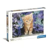 Best Puzzle High Quality Collection Ginger Cat 500 Pezzi, Puzzle Adulti Puzzle 500 Pezzi