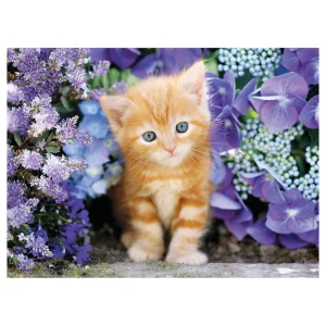 Best Puzzle High Quality Collection Ginger Cat 500 Pezzi, Puzzle Adulti Puzzle 500 Pezzi