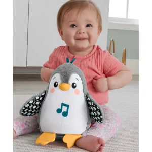 Sale Pinguino Dolci Coccole, Peluche Sensoriale Con Musica E Ali Che Si Muovono, Per Il Gioco Interattivo Da Distesi Sul Pancino, 0+ Anni, Hnc10 Giochi Musicali