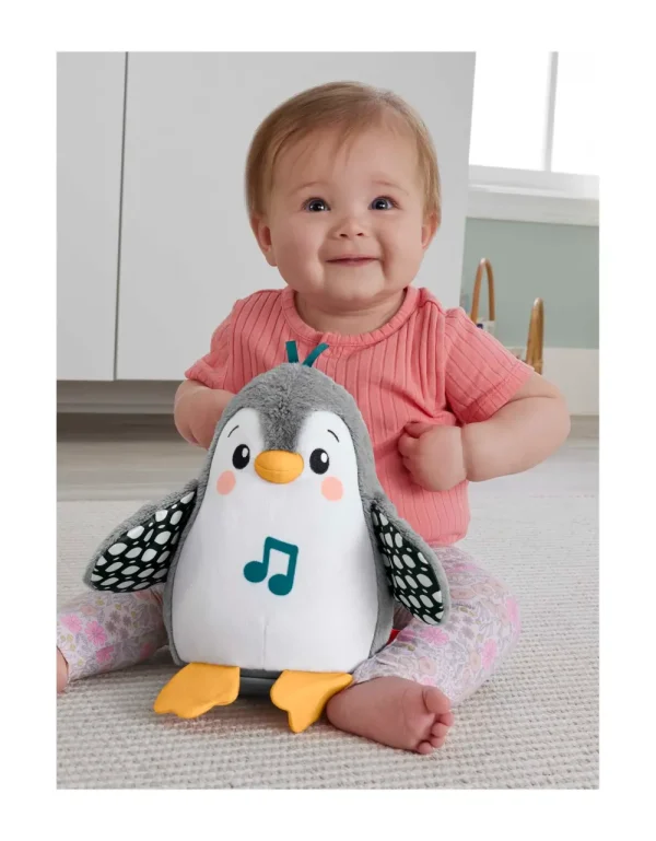 Sale Pinguino Dolci Coccole, Peluche Sensoriale Con Musica E Ali Che Si Muovono, Per Il Gioco Interattivo Da Distesi Sul Pancino, 0+ Anni, Hnc10 Giochi Musicali