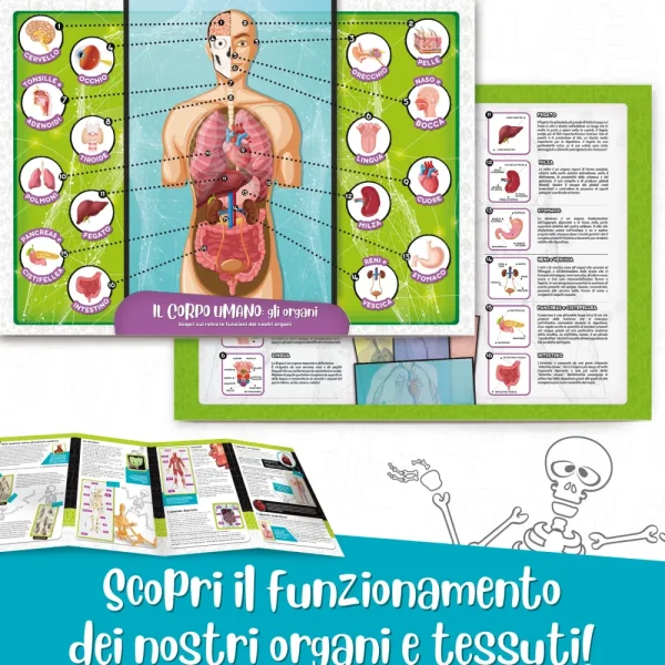 Clearance I'M A Genius Scienza Pocket Scopri Il Corpo Umano Giochi Scientifici