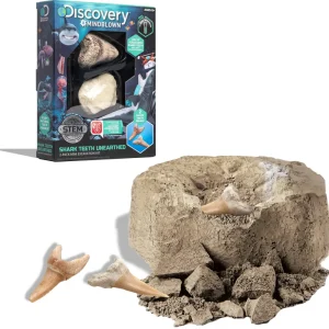 Best Sale Kit Paleontologo Con 2 Denti Di Squalo Giochi Stem