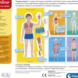 New Montessori Il Corpo Umano Primi Apprendimenti