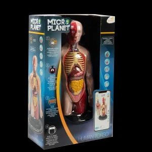 Flash Sale Torso Umano Giochi Scientifici